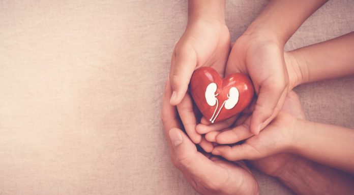 Best Foods to Eat for Kidney Health and Which to Avoid