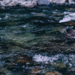 Why is Water So Important, and How Much Should You Be Drinking?