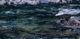 Why is Water So Important, and How Much Should You Be Drinking?