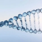 Epigenetics: Change The Future Of Your Genes