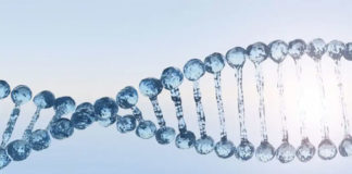 Epigenetics: Change The Future Of Your Genes