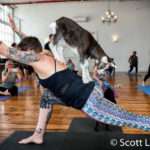sage-meadow-farm-goat-yoga.jpg