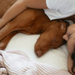 The 5 Things You Need for a Healthy Day