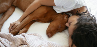 The 5 Things You Need for a Healthy Day