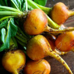 golden-beets.jpg