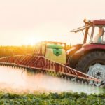 What You Need to Know Before You Eat Any More Soy