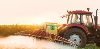 What You Need to Know Before You Eat Any More Soy