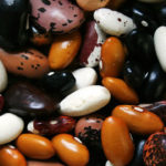 Important Changes to the Whole Life Challenge Nutrition Levels