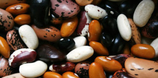 Important Changes to the Whole Life Challenge Nutrition Levels