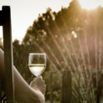 How to Play Whole Life Challenge as a Dedicated Wine Drinker