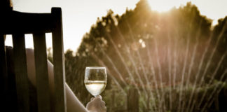 How to Play Whole Life Challenge as a Dedicated Wine Drinker